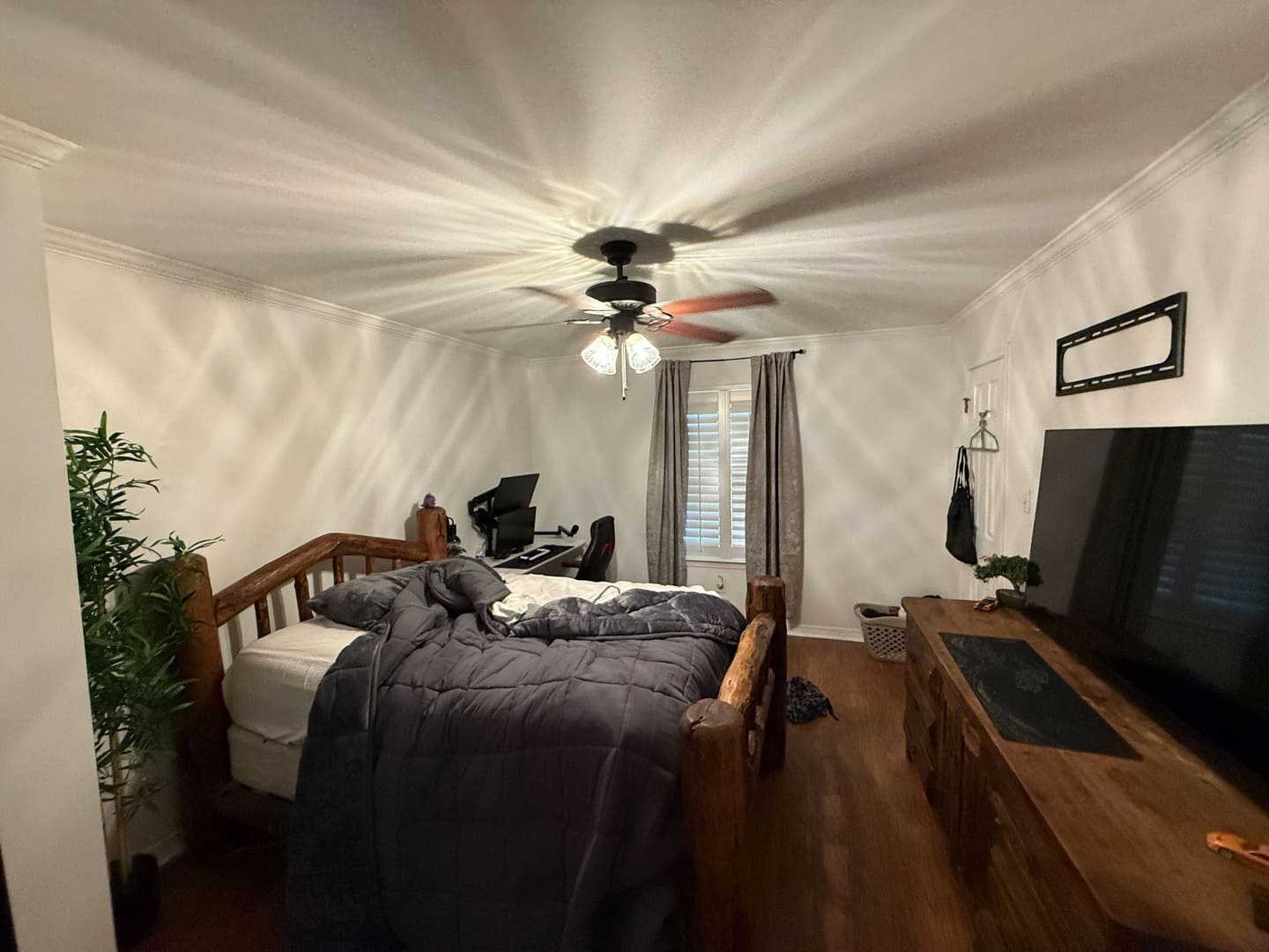 Professional Painters